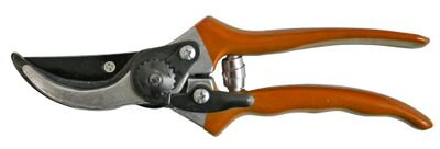 Nožnice na hrozno Strend Pro P0807, 210 mm