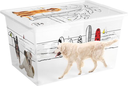 Box s vekom KIS C Style Pets XL, 50 l, 39×55×31 cm