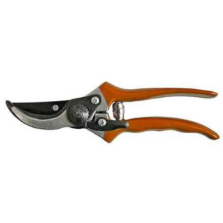 Nožnice Strend Pro P0807, záhradné, na hrozno, 210 mm