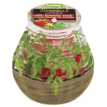 Sviečka proti komárom Bolsius Terrace Citronella, 94/91 mm, paradajka
