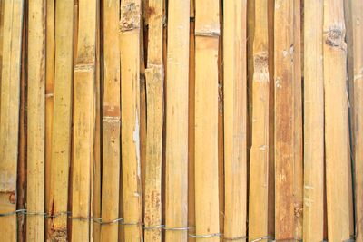 Bambusový plot BSF 2000 mm, L-5 m, štiepaný