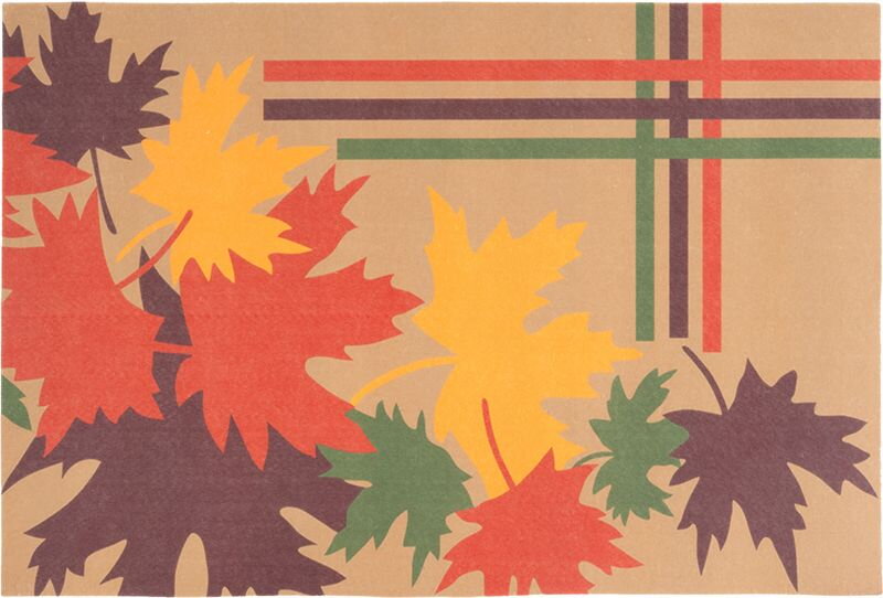 Rohožka MagicHome, pred dvere, Autumn, plast/latex, 40x60 cm