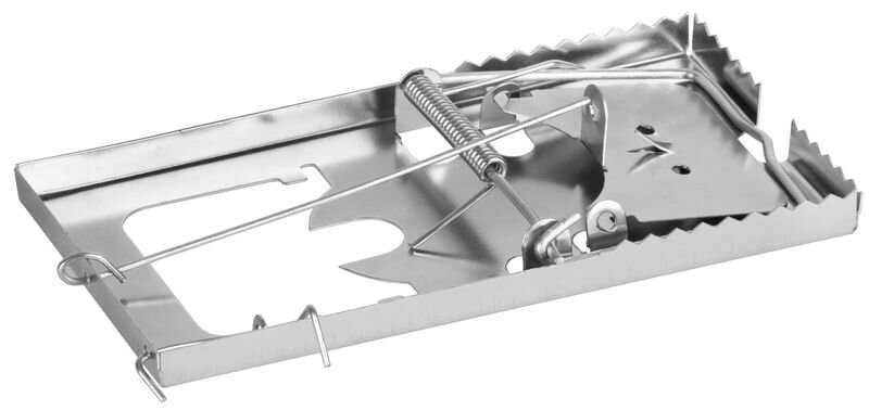 Pasca na myši a potkany MH5079B Ironkiller – plechová, 160x90x0,6 mm, 2 ks Pasca na myši a potkany MH5079B Ironkiller – plechová, 160x90x0,6 mm, 2 ks