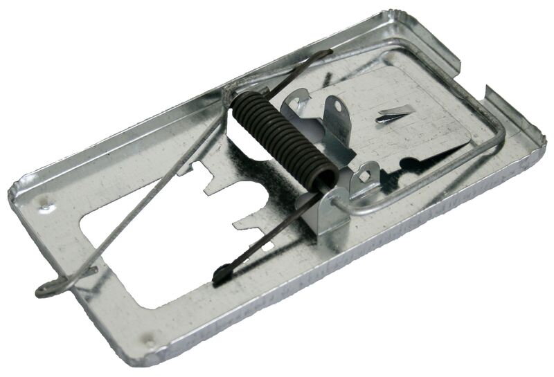 Pasca na potkany FED 606 – plechová, 170x90x2,5 mm Pasca na potkany FED 606 – plechová, 170x90x2,5 mm