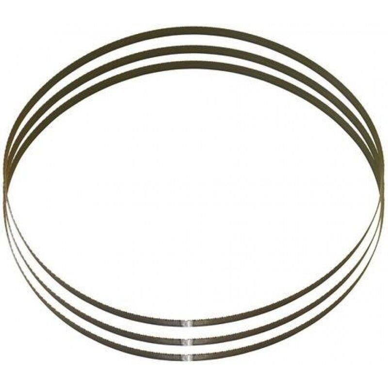 Pas Pilovy 1435x13x0.65mm, 8/12, pre MBS125