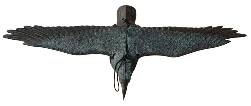 Plašič vtákov – maketa letiacej vrany, 80x11x45 cm Plašič vtákov – maketa letiacej vrany, 80x11x45 cm